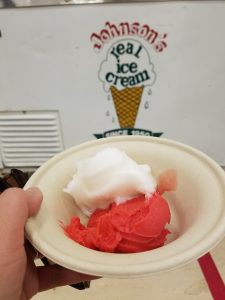 Vegan options served at school Ice Cream Social