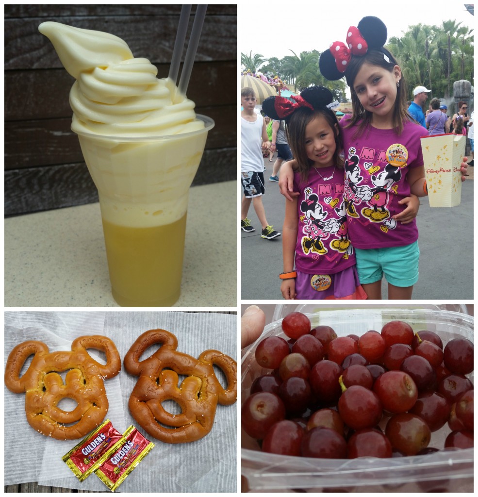 Disney World Treats